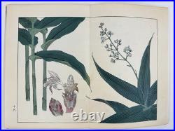 Japanese Woodblock Print Book Shikinohana vol. 7 Flower Sakai Hoitsu 1907