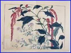 Japanese Woodblock Print Book Shikinohana vol. 7 Flower Sakai Hoitsu 1907