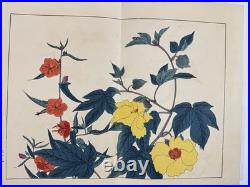Japanese Woodblock Print Book Shikinohana vol. 7 Flower Sakai Hoitsu 1907