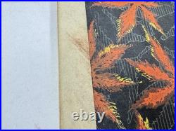 Japanese Woodblock Print Book Shin-bijutsukai vol. 4 Textile Furuya Korin