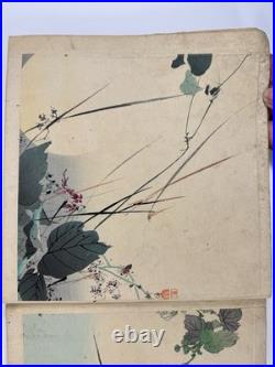 Japanese Woodblock Print Book kogyo Kachogacho Bird and Flower