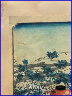 Japanese Woodblock Print, Hiroshige Ii. Kameido Tenmangu Shrine