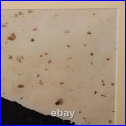 Japanese Woodblock Print Iwao Akiyama Wakamono Owl Tradition and Creation UE62