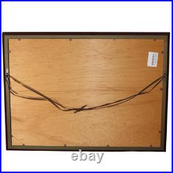 Japanese Woodblock Print Iwao Akiyama Wakamono Owl Tradition and Creation UE62