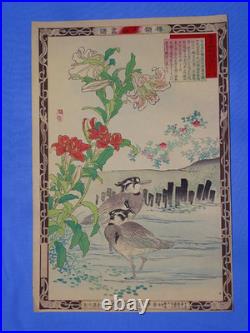 Japanese Woodblock Print, KONO BAIREI Kacho-e Bird & Flower Series 1880's (#20)