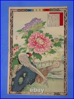Japanese Woodblock Print, KONO BAIREI Kacho-e Bird & Flower Series 1880's (#24)