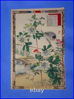 Japanese Woodblock Print, KONO BAIREI Kacho-e Bird & Flower Series 1880's (#27)