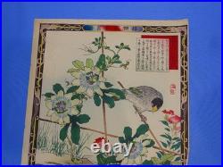 Japanese Woodblock Print, KONO BAIREI Kacho-e Bird & Flower Series 1880's (#27)