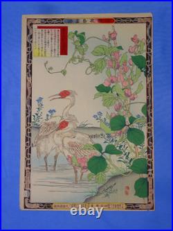 Japanese Woodblock Print, KONO BAIREI Kacho-e Bird & Flower Series 1880's (#9)