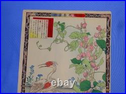 Japanese Woodblock Print, KONO BAIREI Kacho-e Bird & Flower Series 1880's (#9)