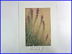 Japanese Woodblock Print LIATRIS Rakuzan Chigusa Soun Flower Vintage Original