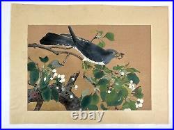 Japanese Woodblock Print Pear flower and cuckoo Rakuzan Bird Vintage Original