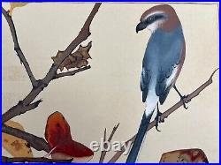 Japanese Woodblock Print Persimmon and Shrike Rakuzan Bird Vintage Original