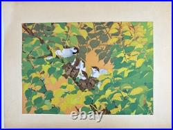 Japanese Woodblock Print Plum and Little Sparrow Rakuzan Large Size Bird