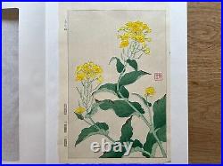 Japanese Woodblock Print Rape Blossom Kawarazaki Shodo Flower vintage original