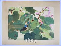 Japanese Woodblock Print Red-flanked Bluetail on Kaido Rakuzan Large Japanese Woodblock Print Red-flanked Bluetail on Kaido Rakuzan Large