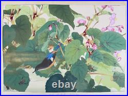 Japanese Woodblock Print Red-flanked Bluetail on Kaido Rakuzan Large