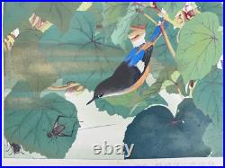 Japanese Woodblock Print Red-flanked Bluetail on Kaido Rakuzan Large