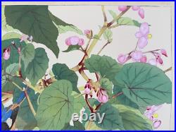 Japanese Woodblock Print Red-flanked Bluetail on Kaido Rakuzan Large