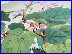 Japanese Woodblock Print Red-flanked Bluetail on Kaido Rakuzan Large