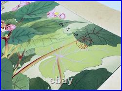 Japanese Woodblock Print Red-flanked Bluetail on Kaido Rakuzan Large