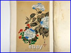Japanese Woodblock Print Rimpa Hyakkafu vol. 15 6 Print Vintage Original 1930