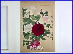 Japanese Woodblock Print Rose Rakuzan 1931 Flower Vintage Original