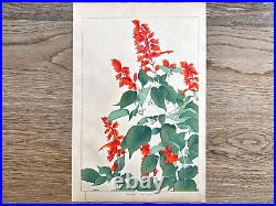 Japanese Woodblock Print SALVIA Rakuzan Flower Vintage Original