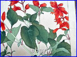 Japanese Woodblock Print SALVIA Rakuzan Flower Vintage Original
