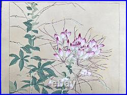 Japanese Woodblock Print SPIDER PLANT Tsuchiya Rakuzan Chigusa Soun Foral Art
