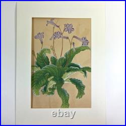 Japanese Woodblock Print STREPTOCARPHS Rakuzan Chigusa Soun Flower Vintage