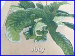 Japanese Woodblock Print STREPTOCARPHS Rakuzan Chigusa Soun Flower Vintage