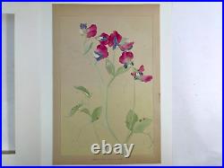 Japanese Woodblock Print SWEET PEA Rakuzan 1931 Flower Vintage Original