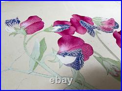 Japanese Woodblock Print SWEET PEA Rakuzan 1931 Flower Vintage Original