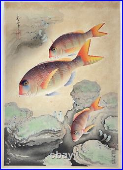 Japanese Woodblock Print Sea Bream Ono Bakufu Original Print