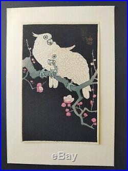 Japanese Woodblock Print Shoson (Koson) vintage print. Parrots and plumb flower