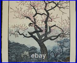 Japanese Woodblock Print Toshi Yoshida