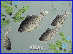 Japanese Woodblock by Bakufu Ohno Crucian Carp Familiar Fishes of Japan Series