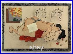 Japanese old woodblock print x11 Tsu-hi no Hinagata, Shunga, Meiji era, Erotic