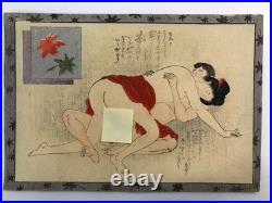 Japanese old woodblock print x11 Tsu-hi no Hinagata, Shunga, Meiji era, Erotic