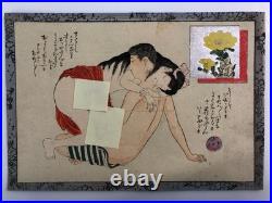 Japanese old woodblock print x11 Tsu-hi no Hinagata, Shunga, Meiji era, Erotic