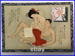 Japanese old woodblock print x11 Tsu-hi no Hinagata, Shunga, Meiji era, Erotic