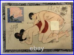 Japanese old woodblock print x11 Tsu-hi no Hinagata, Shunga, Meiji era, Erotic