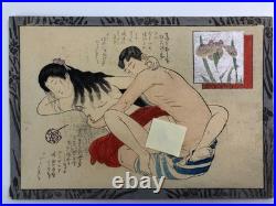 Japanese old woodblock print x11 Tsu-hi no Hinagata, Shunga, Meiji era, Erotic