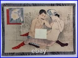 Japanese old woodblock print x11 Tsu-hi no Hinagata, Shunga, Meiji era, Erotic