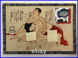 Japanese old woodblock print x11 Tsu-hi no Hinagata, Shunga, Meiji era, Erotic