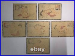 Japanese old woodblock print x11 Tsu-hi no Hinagata, Shunga, Meiji era, Erotic