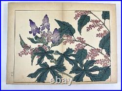 Japanese woodblock print book, Shiki no Hana vol. 9 Sakai Hoitsu Rinpa 1908