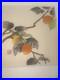 Japanese_woodblock_print_nisaburo_ito_Persimmon_01_zk