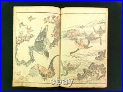 KATSUSHIKA HOKUJU Japanese Woodblock Print Book Hokusai Sch. Manga Gafu Edo b540